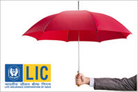 LIC stock price up by more than 5% today