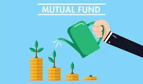 Mutual fund folio growth: how the May 2024 story panned out