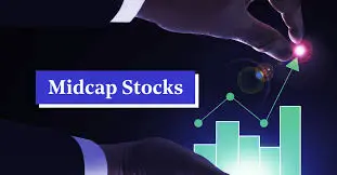 Did mid-caps create alpha, with Nifty at 24,000?