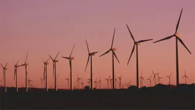 Adani Green Energy launches India's largest 250 MW wind plan