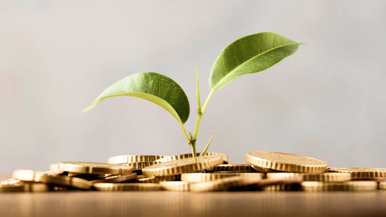 Which sectors did mutual funds prefer in June 2025?